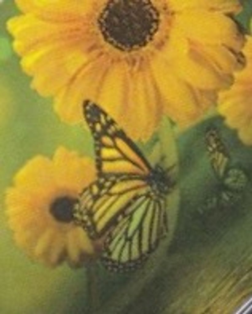 Wendi S. Noll Profile Photo