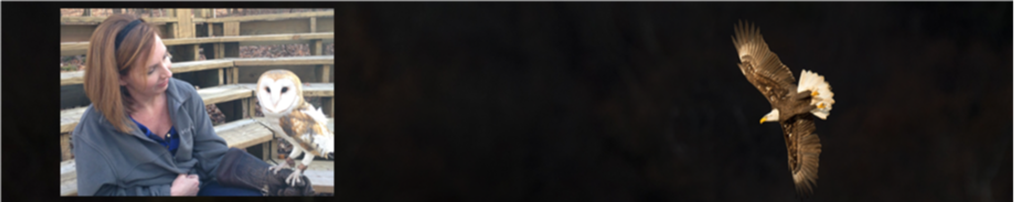 Cover for Jennifer Leigh Robertson's Obituary