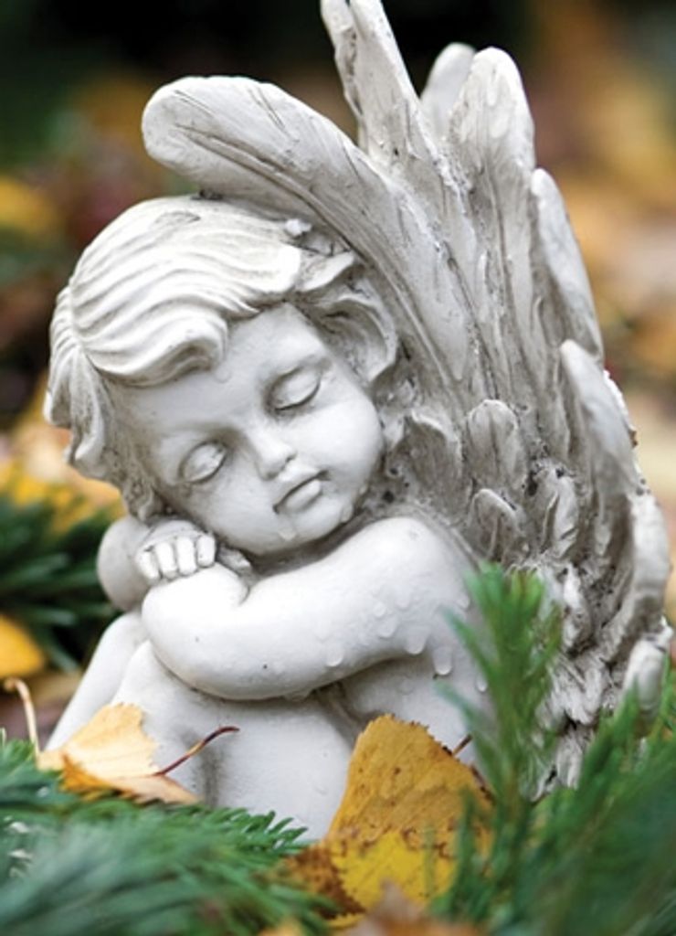 Julia Ann Smallwood (Dellinger) Profile Photo