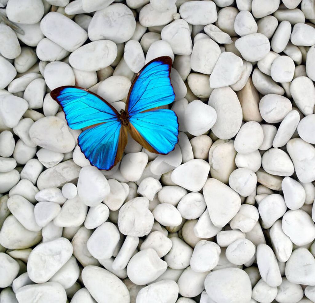 Donna Marie Johnson Profile Photo