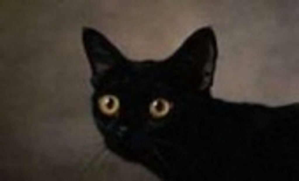 Robert Wilson Profile Photo