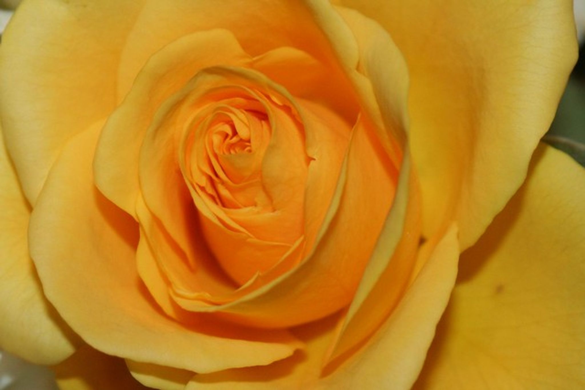 Cover photo for Evelyn M. Yost's Obituary