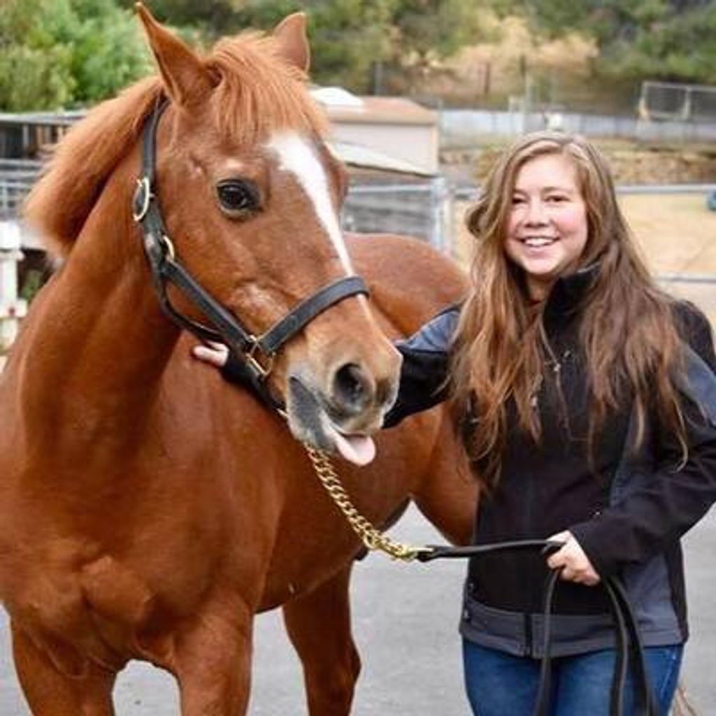 Josette "Josie" T. Nordman Profile Photo