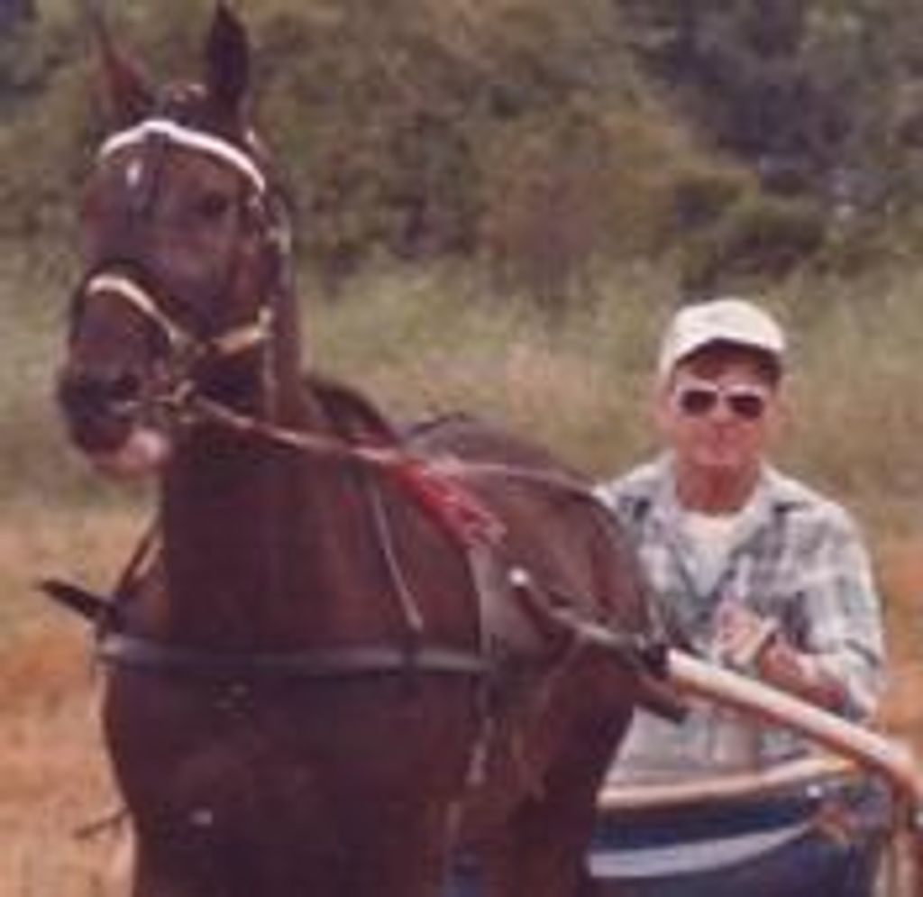 Kenneth J. Wolf Profile Photo