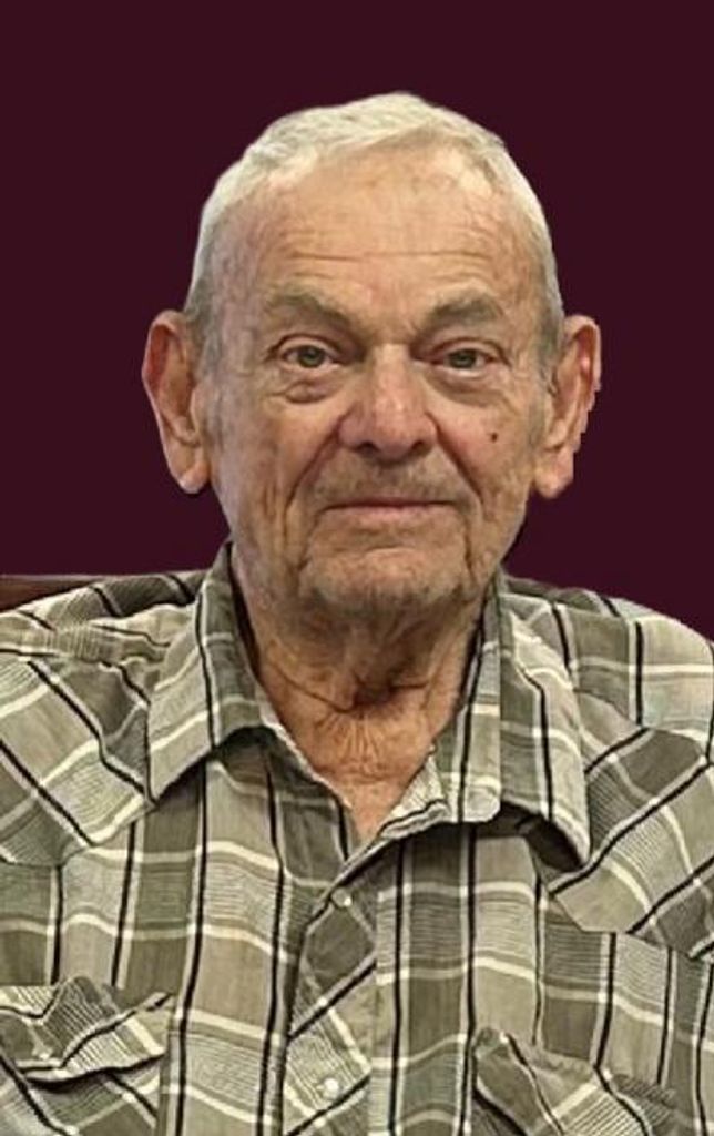 Lee M. Bulmer Profile Photo