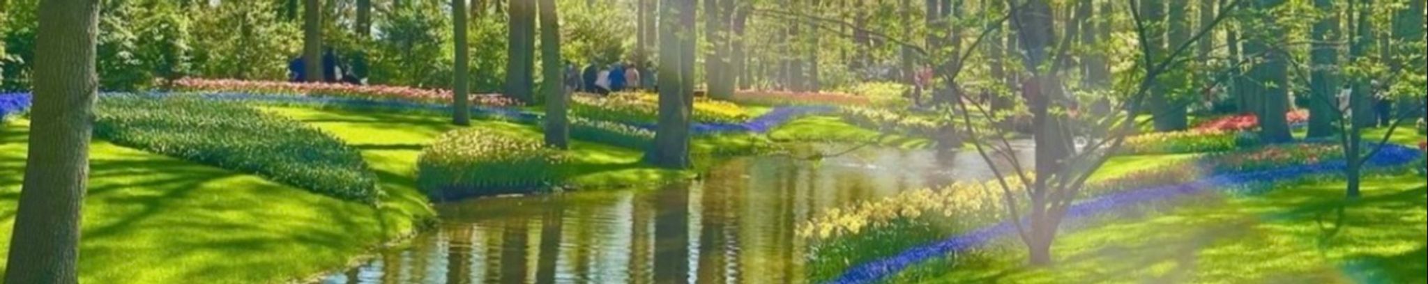 Cover for Larry Howard Lemmenes's Obituary