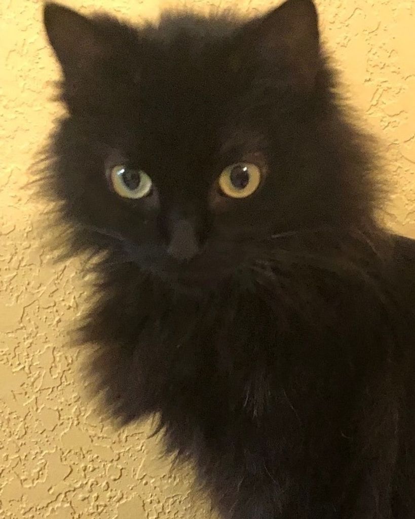 Dawn 🖤 Profile Photo