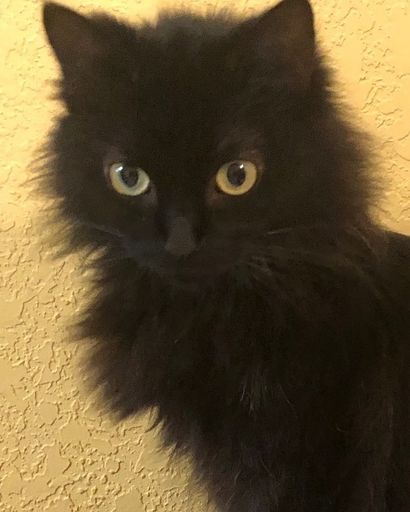 Dawn ?'s obituary image