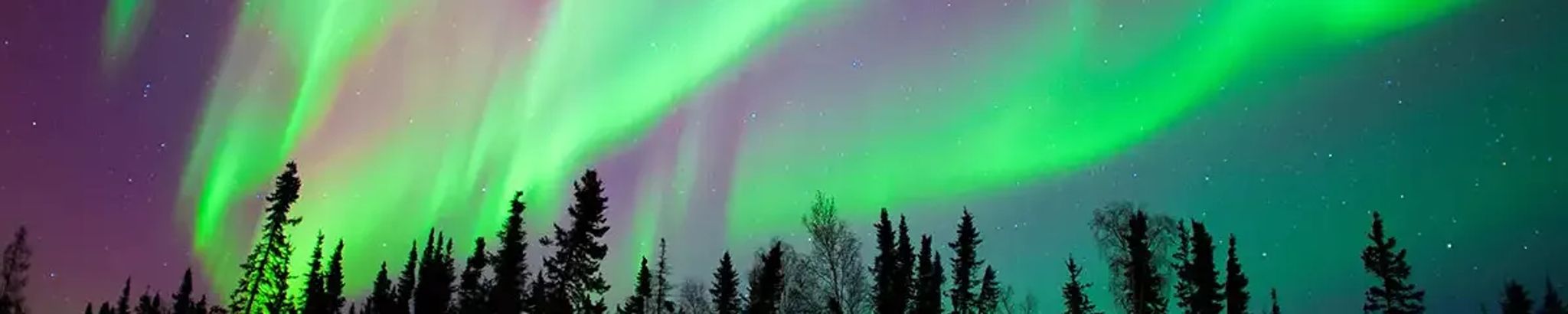 Cover for Tyler David Ransbottom's Obituary