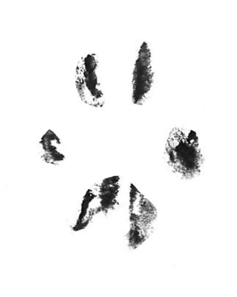 Max Hedrick Profile Photo