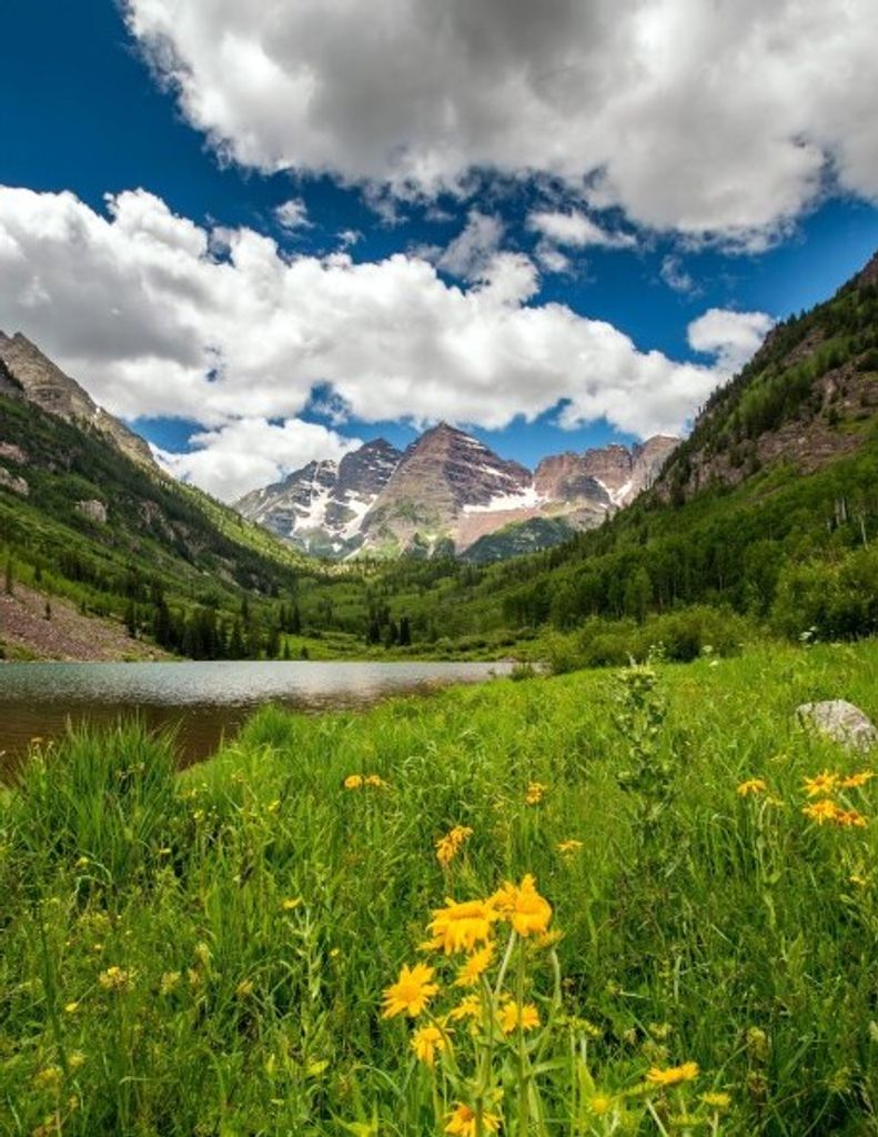 Stephen Cedor, Jr. Profile Photo