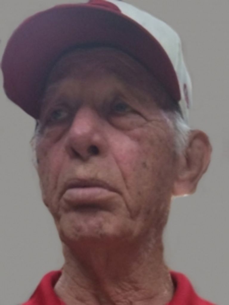 Donald  L. Horn