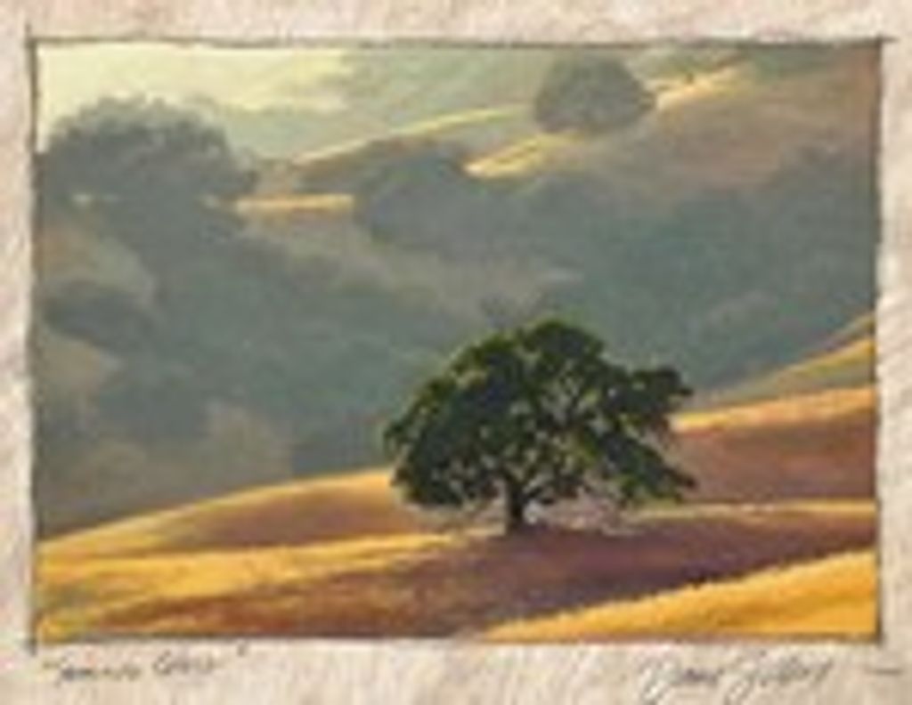 Madelyn O'Connell Bourdet