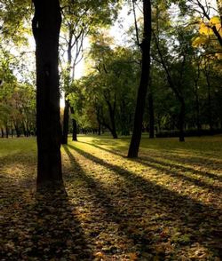 Larry P. Johnson Profile Photo