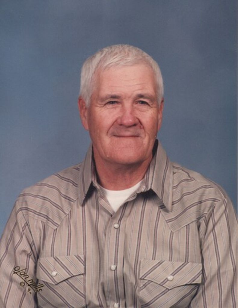 Leland P. Aanenson Profile Photo