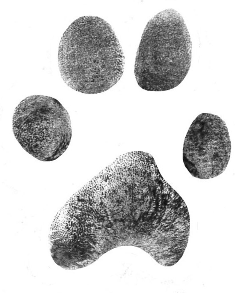 Kermit Ballew Profile Photo