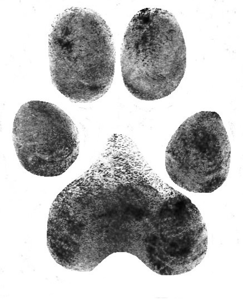 Abbey Davis Profile Photo