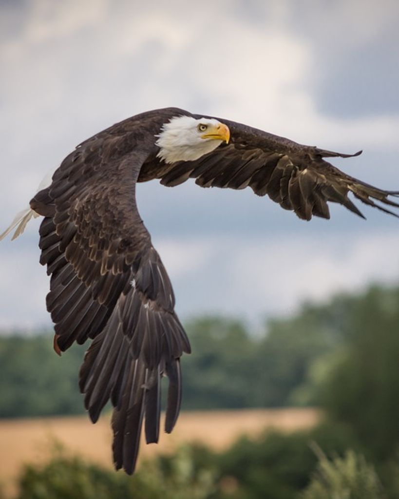 Ardis Elaine Erickson Profile Photo