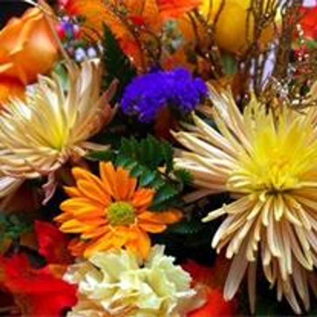 Jeanne Ronelle Krause Profile Photo