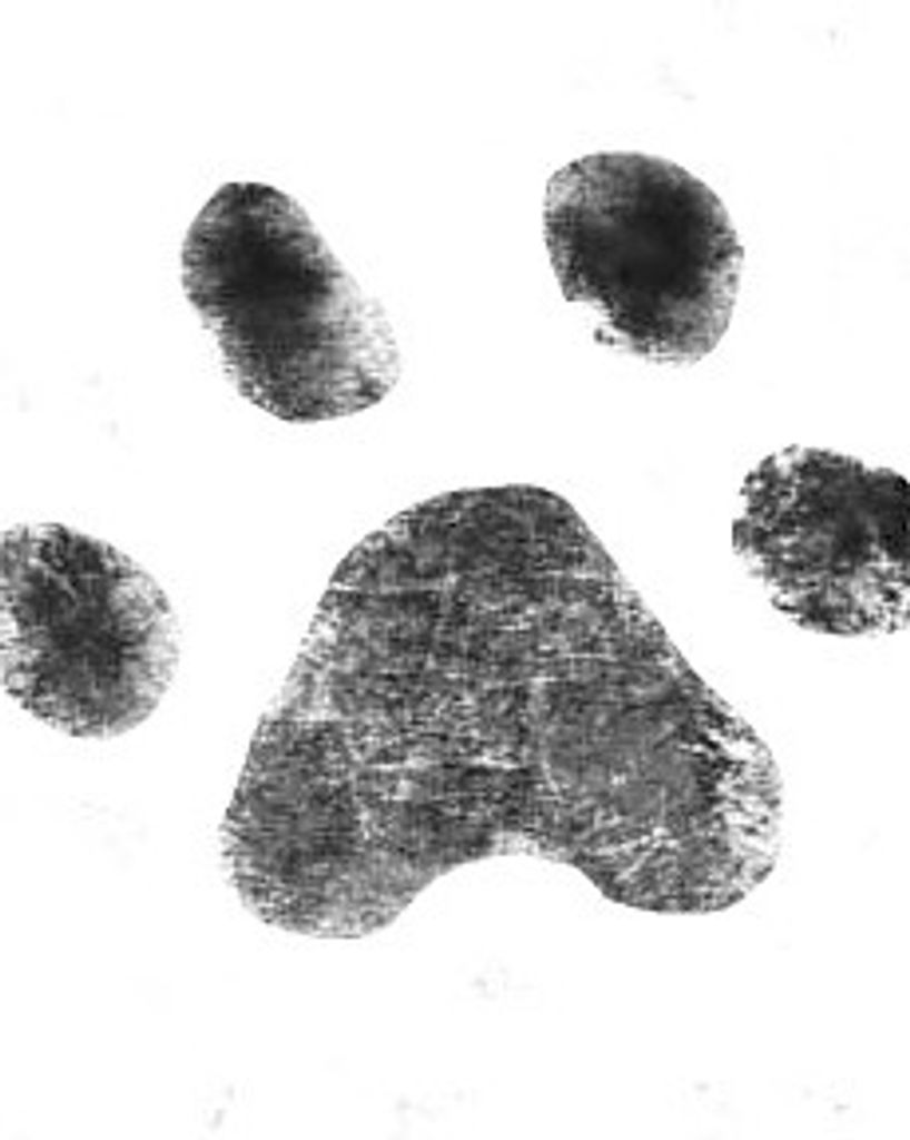 Sophie Landry Profile Photo