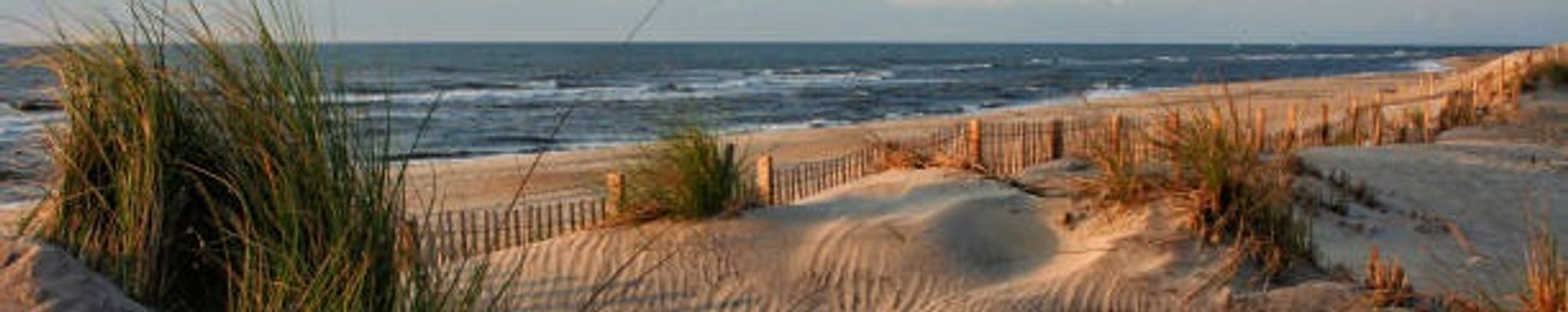 Cover photo for Susan Jane Redford's Obituary