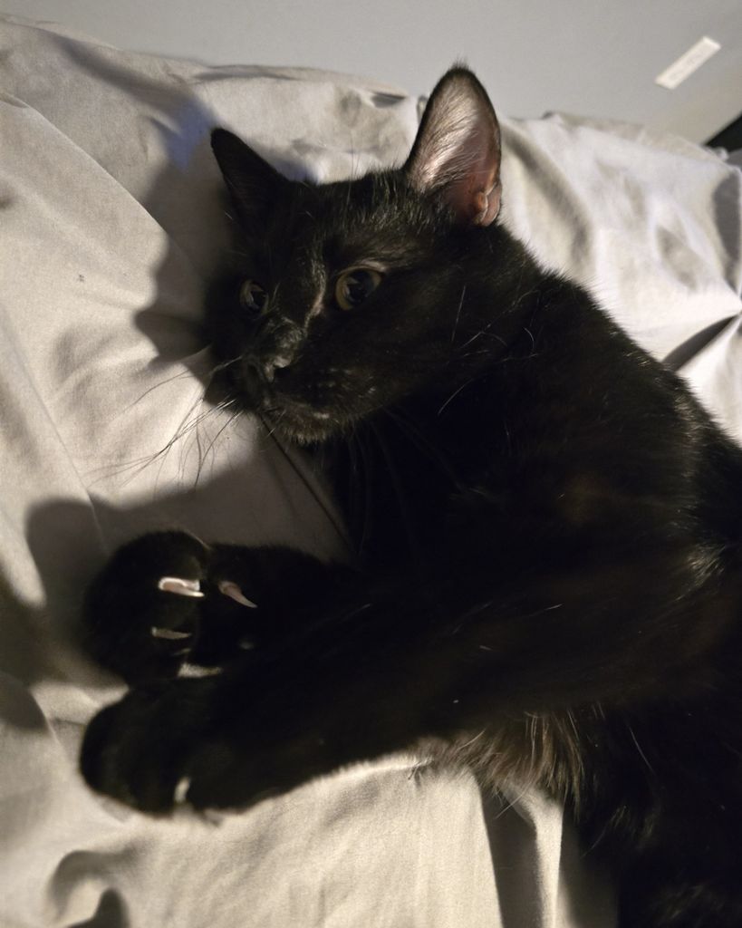 Obie Profile Photo