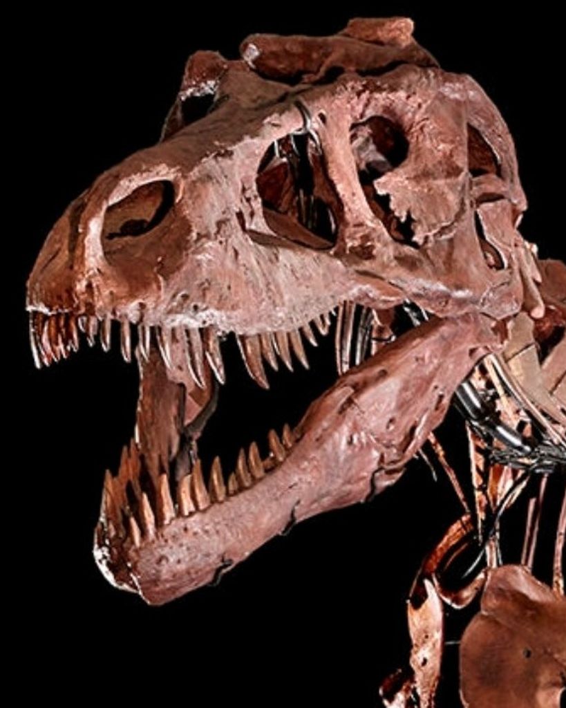 Clayton Kohlmeyer Profile Photo