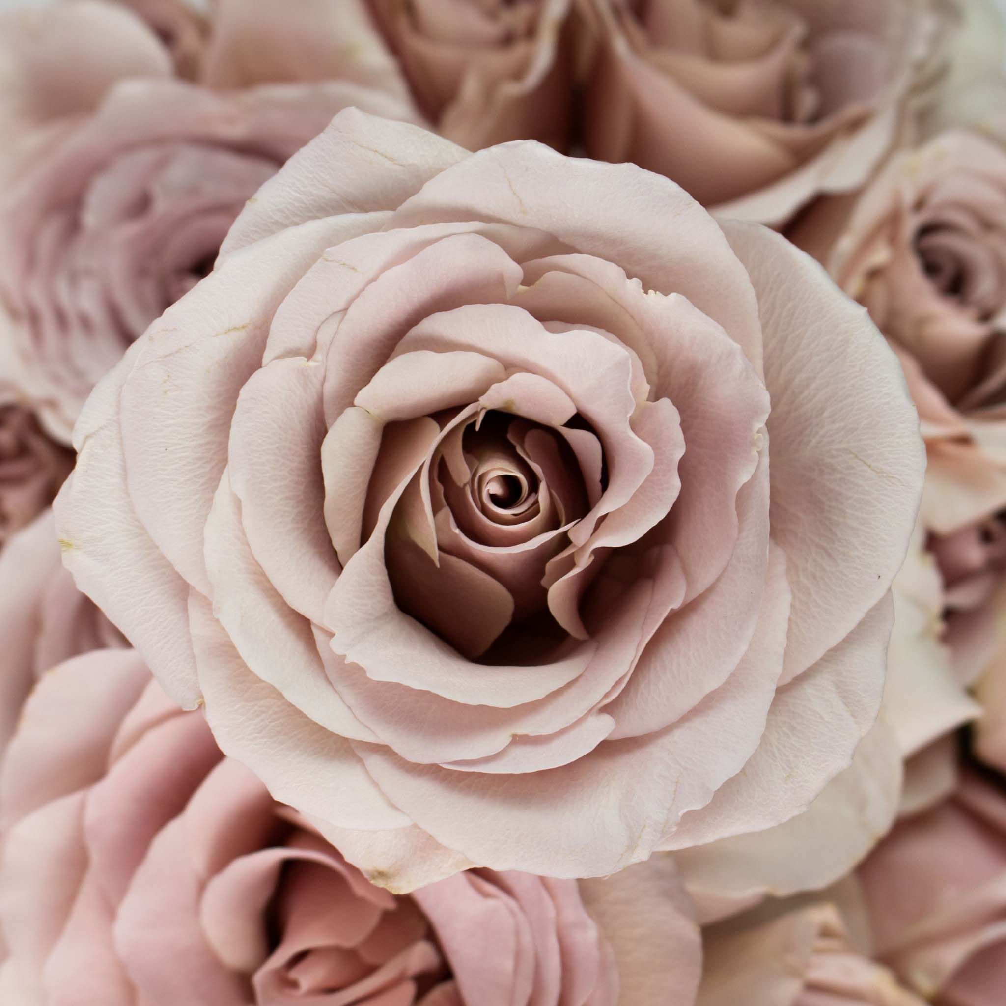Cover photo for Karen Stubbs's Obituary