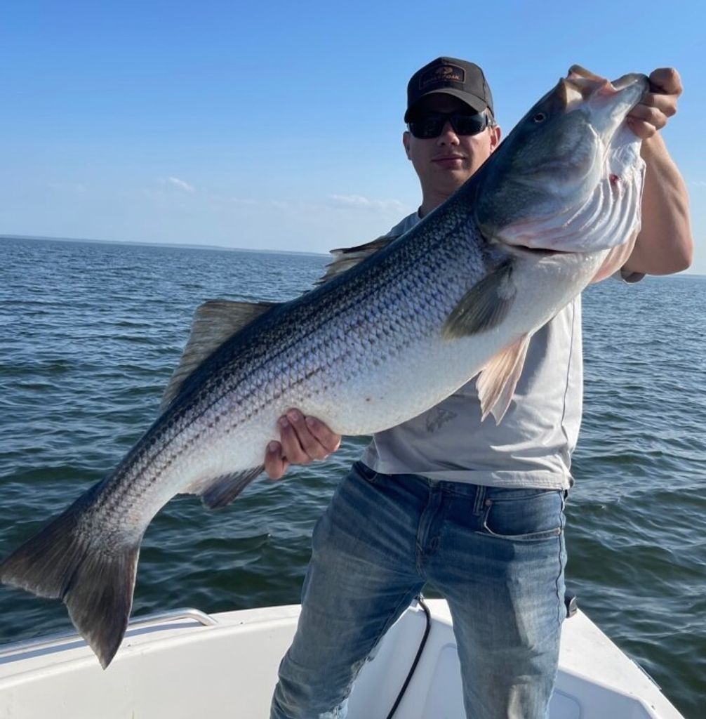 Kole Timothy Kendall Profile Photo