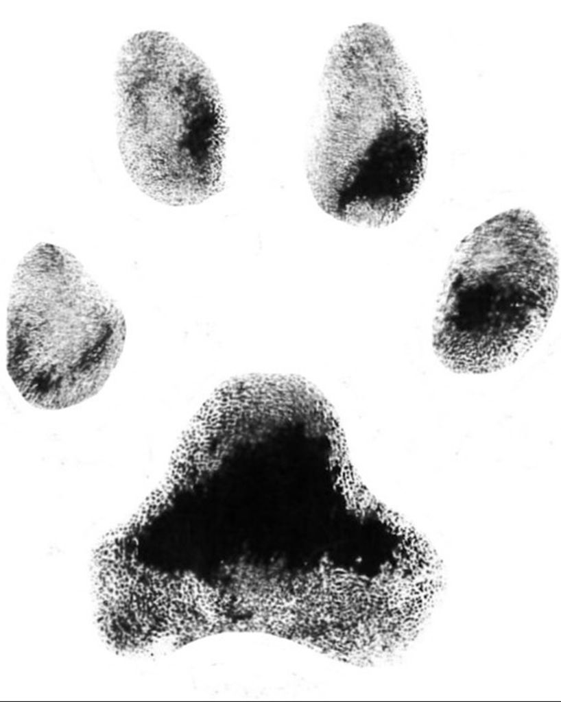 Clifford Bumbarger Profile Photo