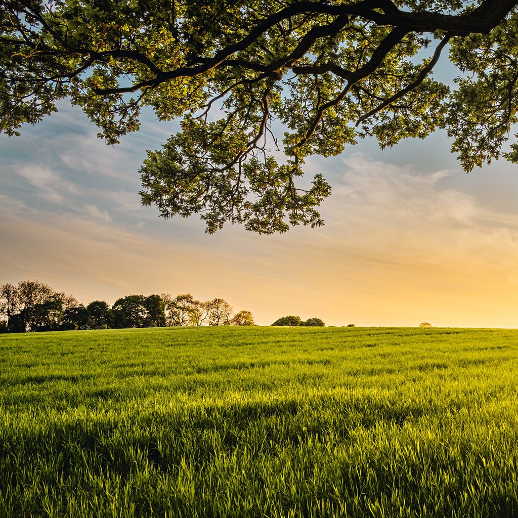 Randall Wayne Hodges Profile Photo