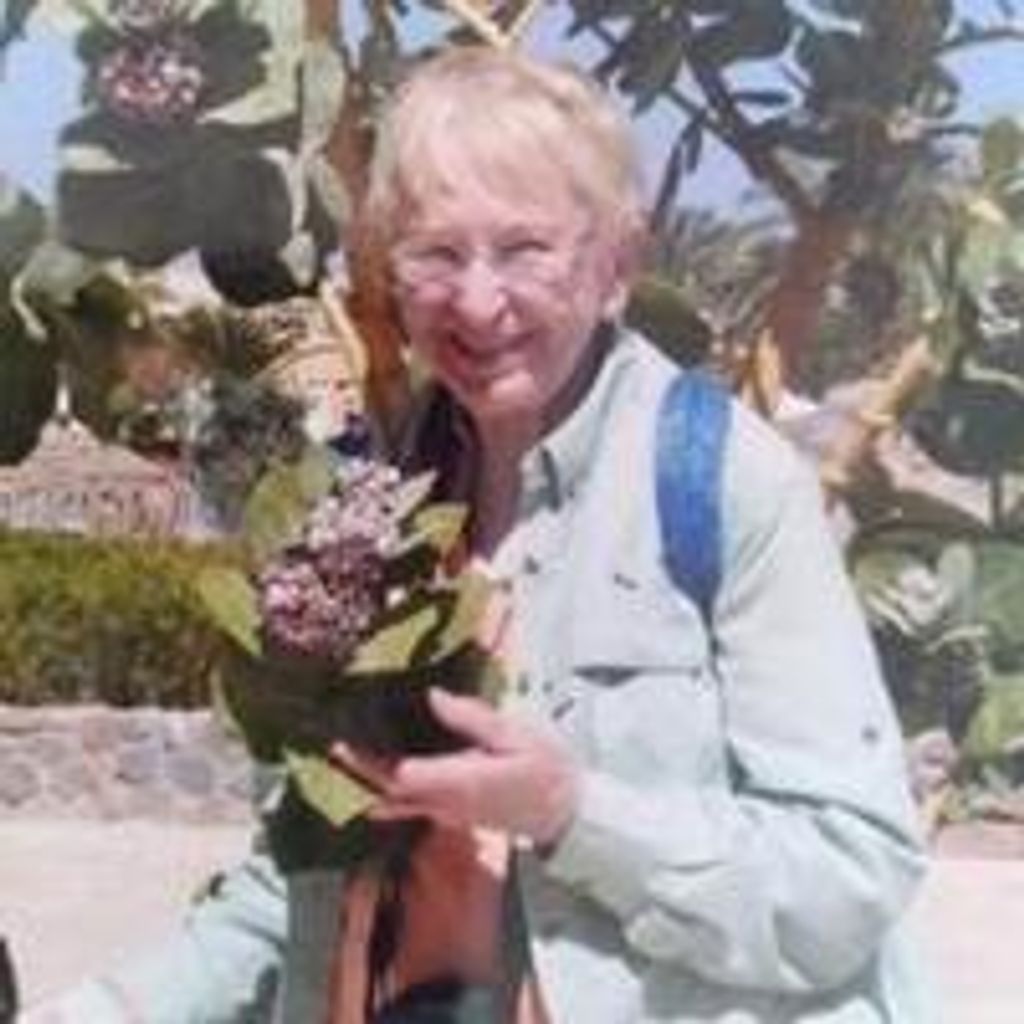 Barbara Brisso Profile Photo