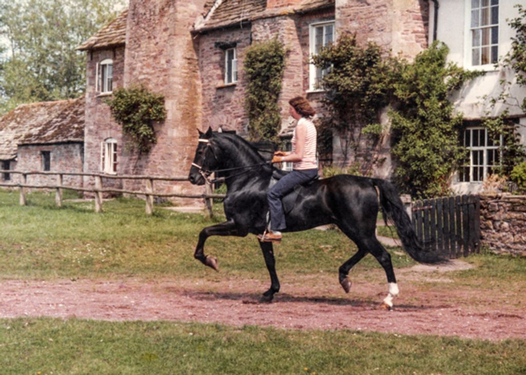 Joan Osgood Profile Photo