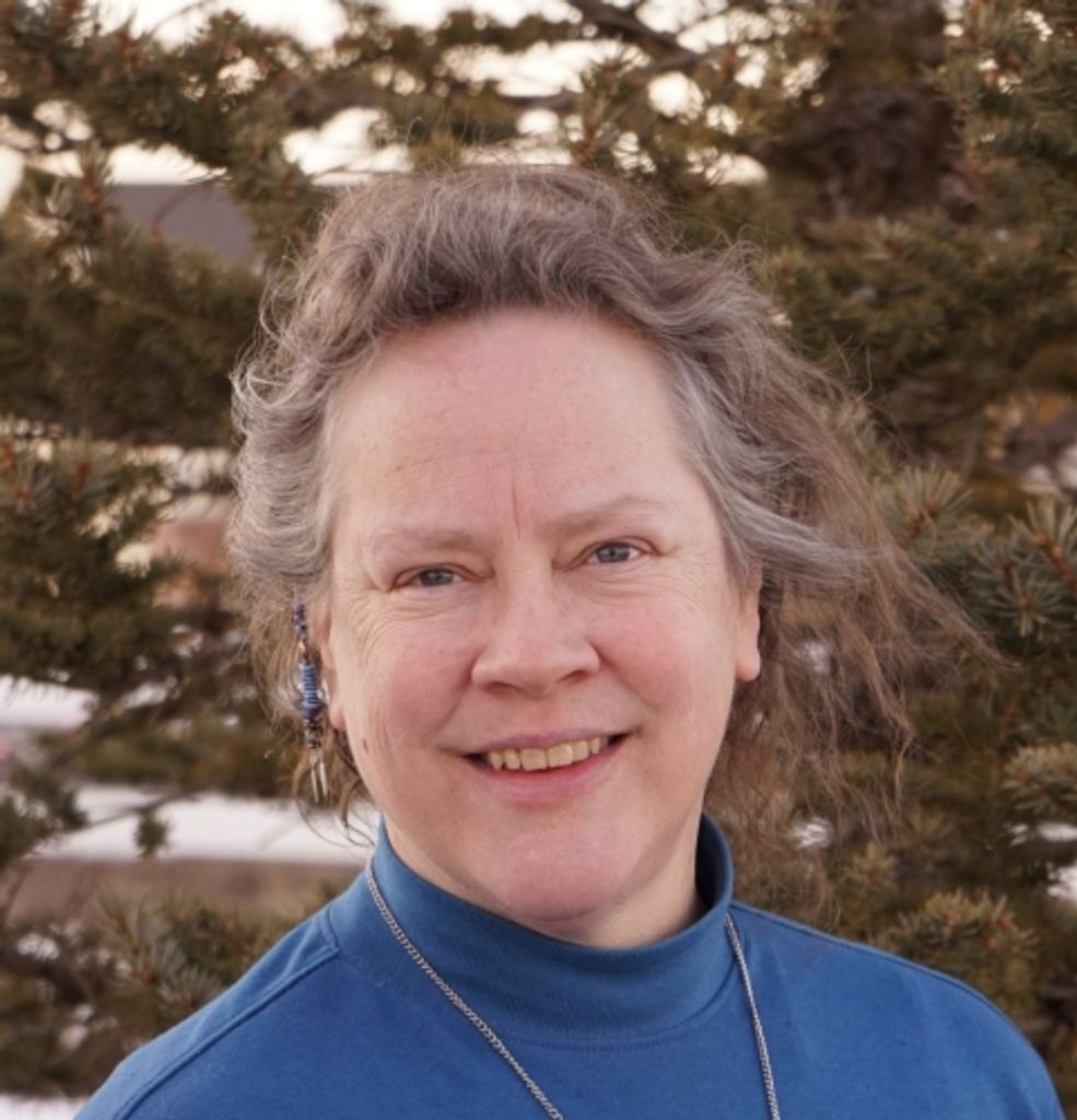 Teresa Ann Foltin