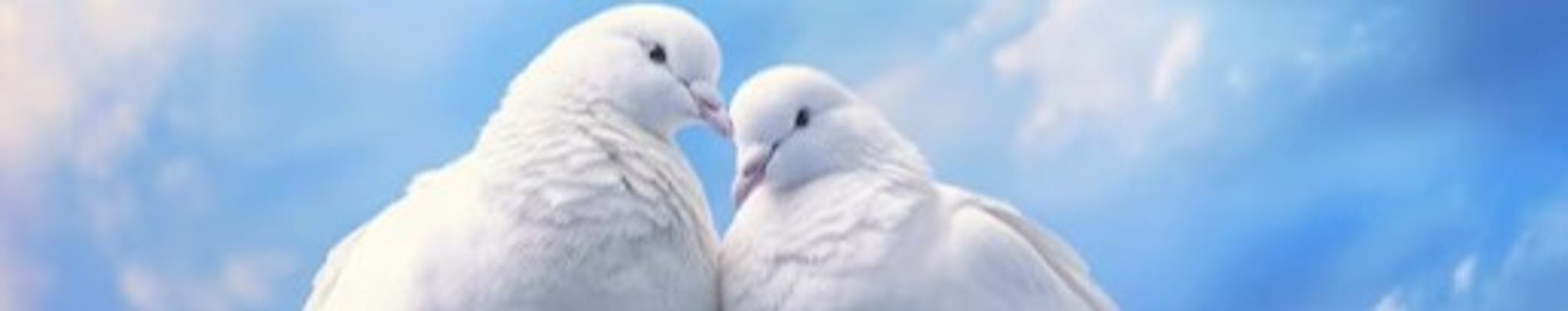 Cover photo for Elizabeth Ramsey's Obituary