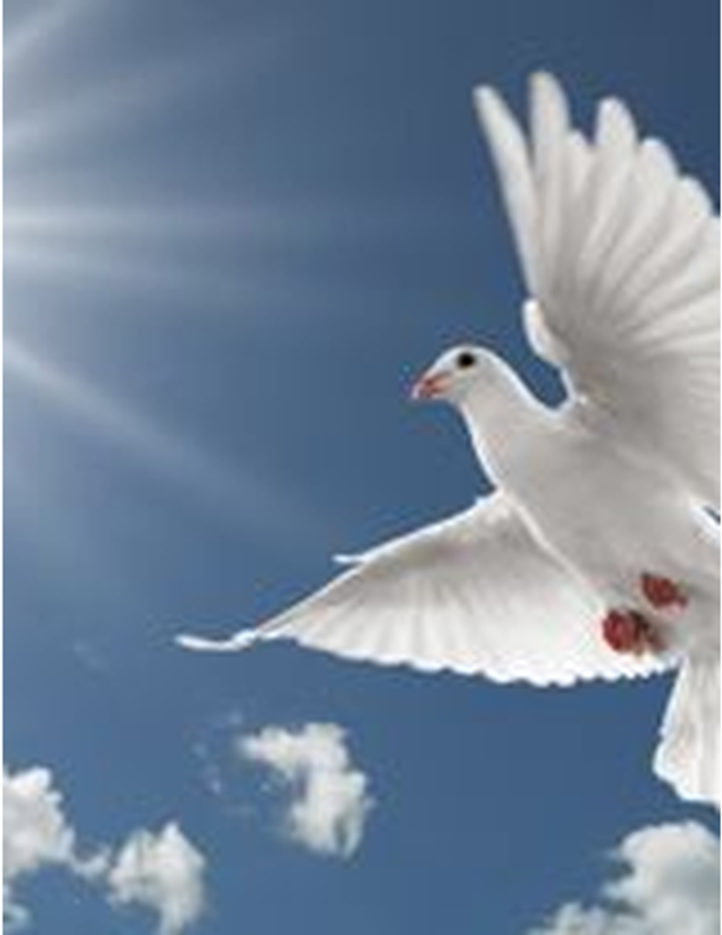 Lillian R. Kazlausky