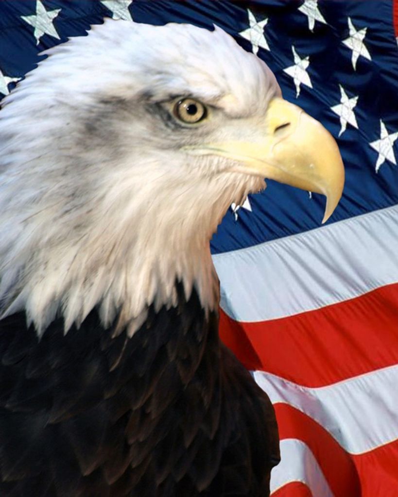 Harry Amigusi Profile Photo