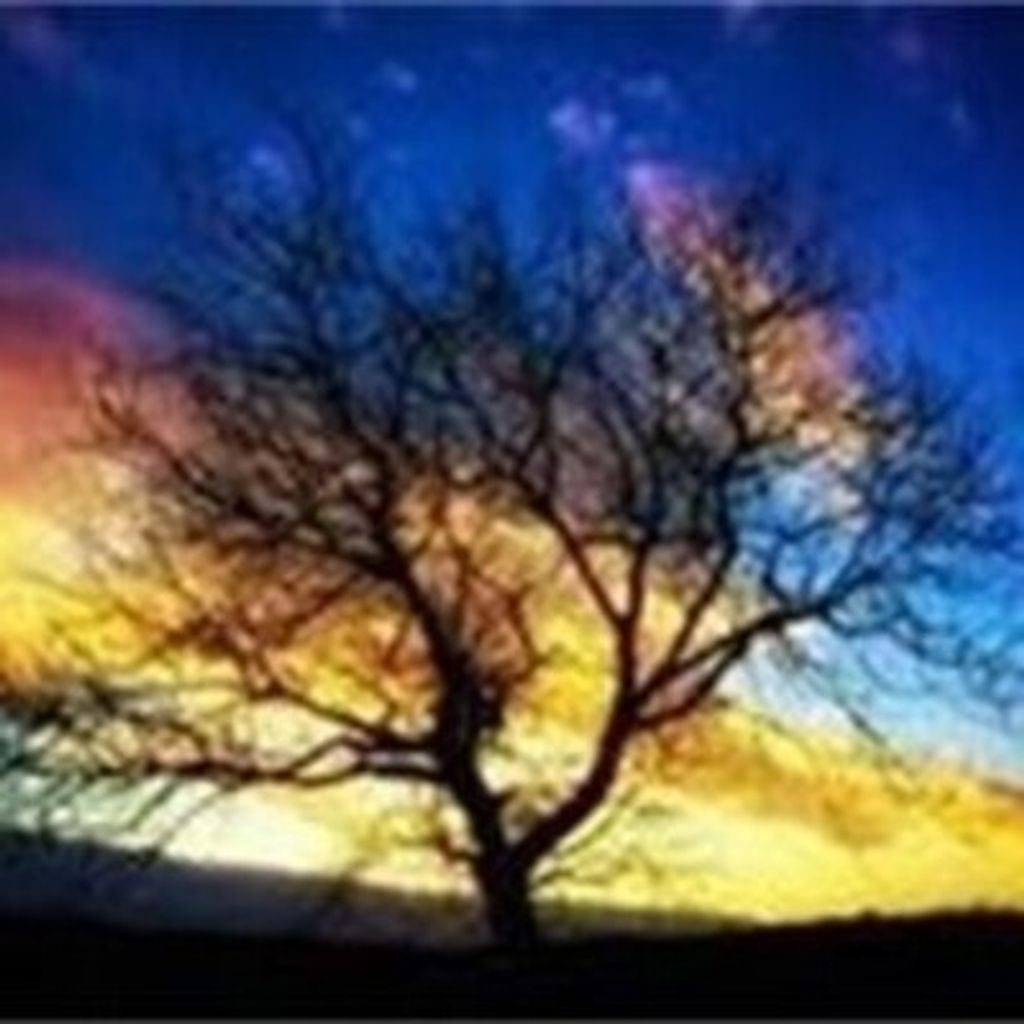 Zwetko Steve Jordanov