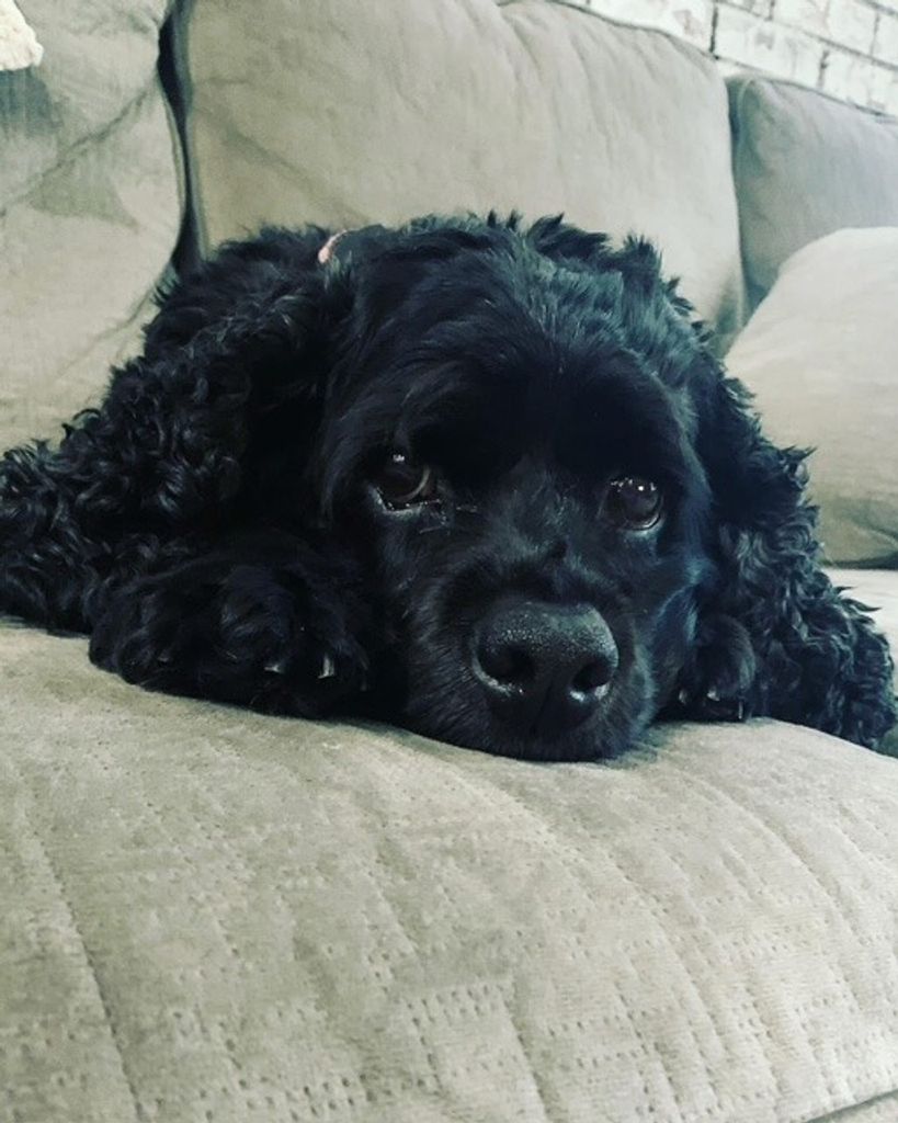 Mila Lapera Profile Photo