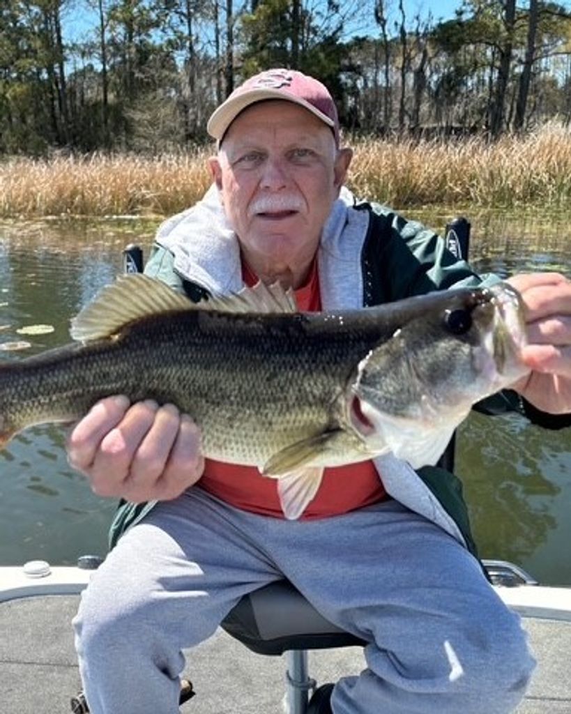 Phillip Boyd Sumner Profile Photo