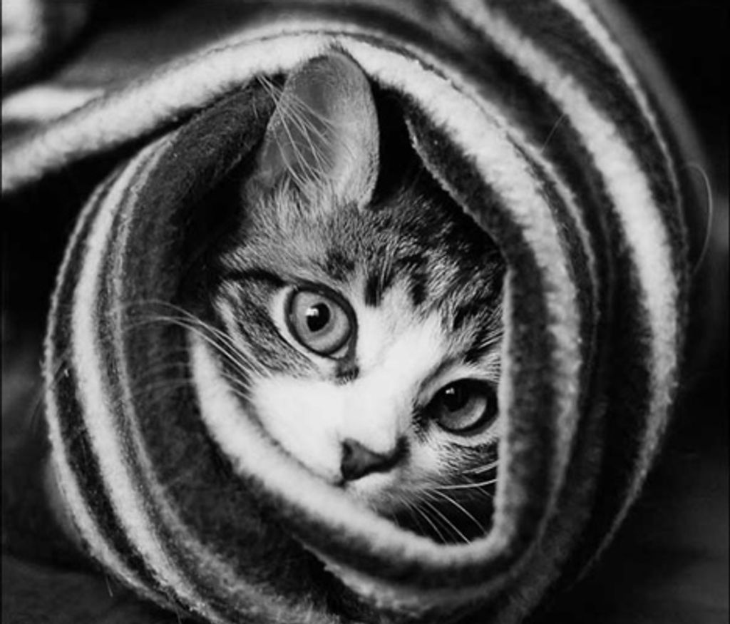 Elda Lou Main Profile Photo