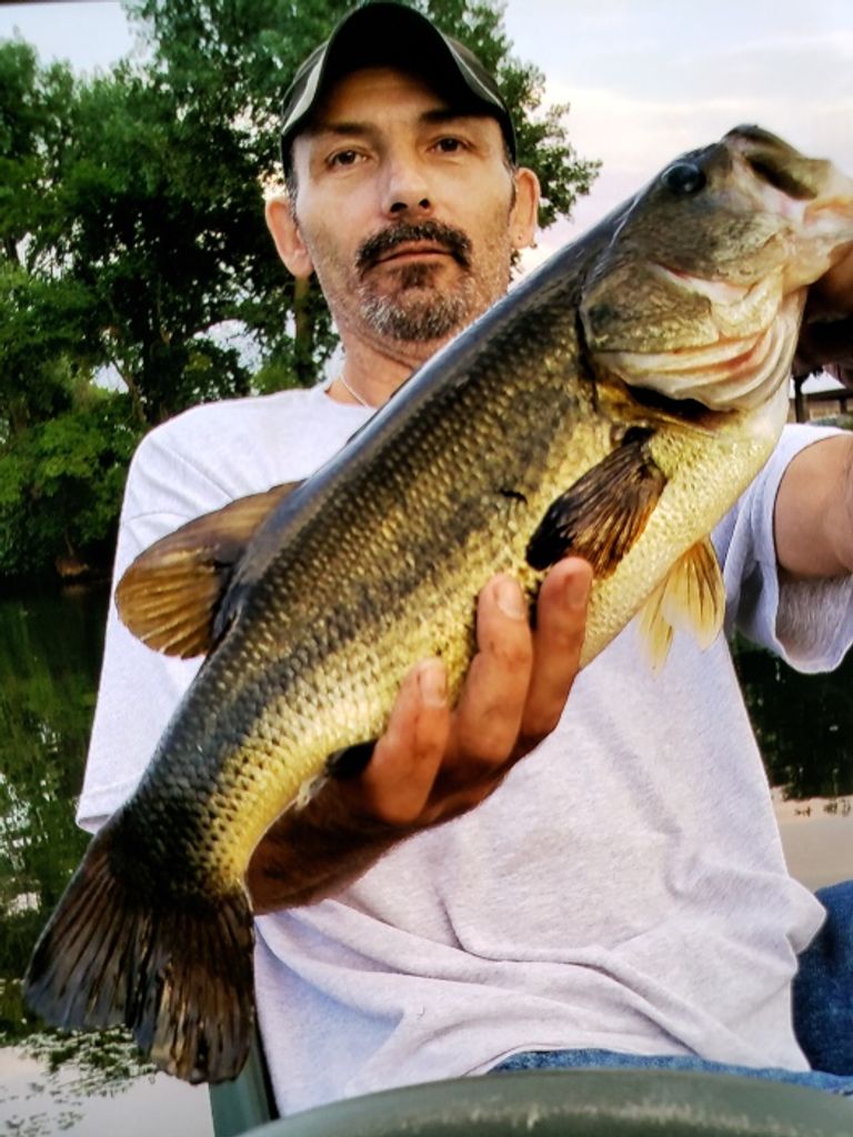 Terry Nystel