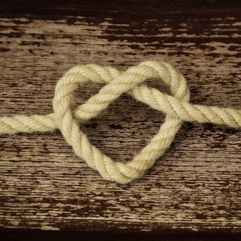 Robert S. Shaw Profile Photo