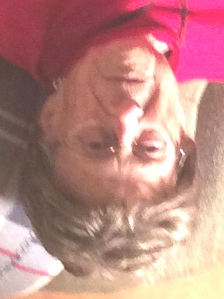 Margaret V. Mittlestadt