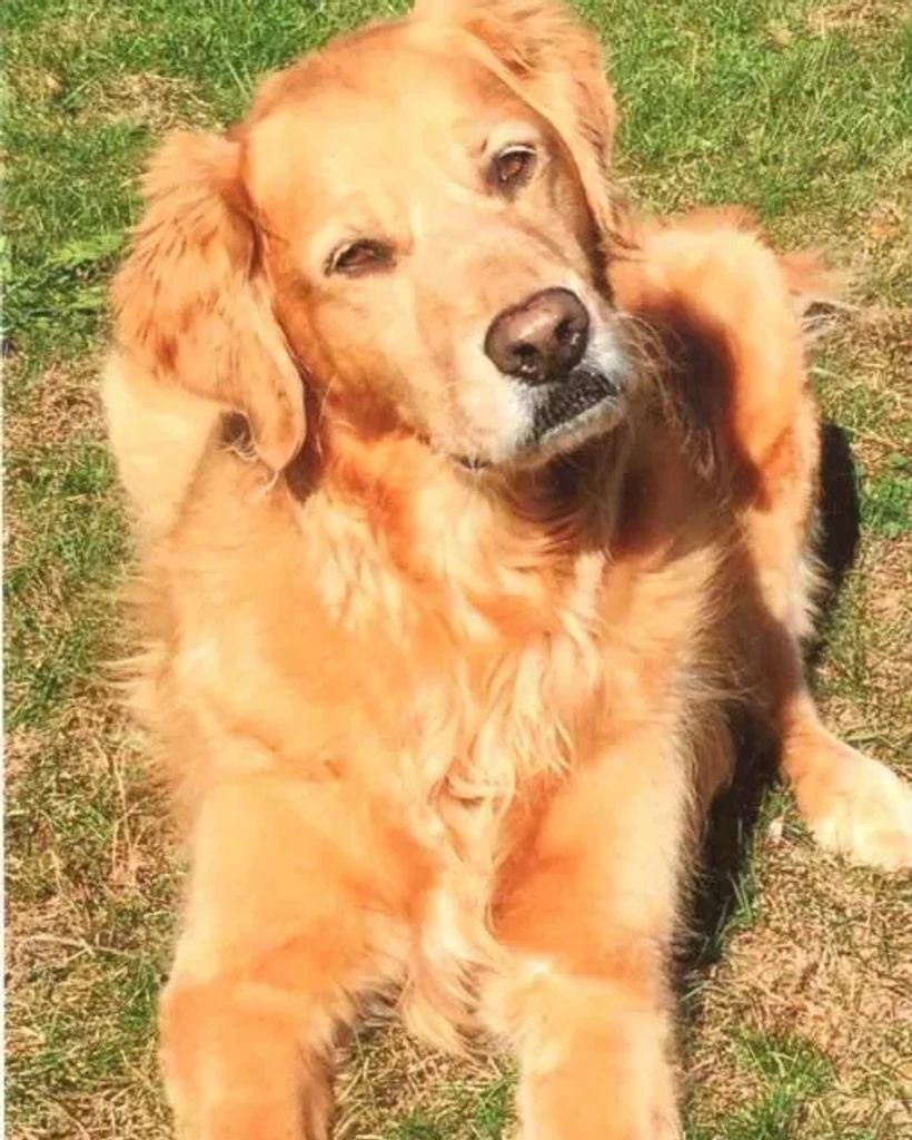 Abby 🐾 Profile Photo