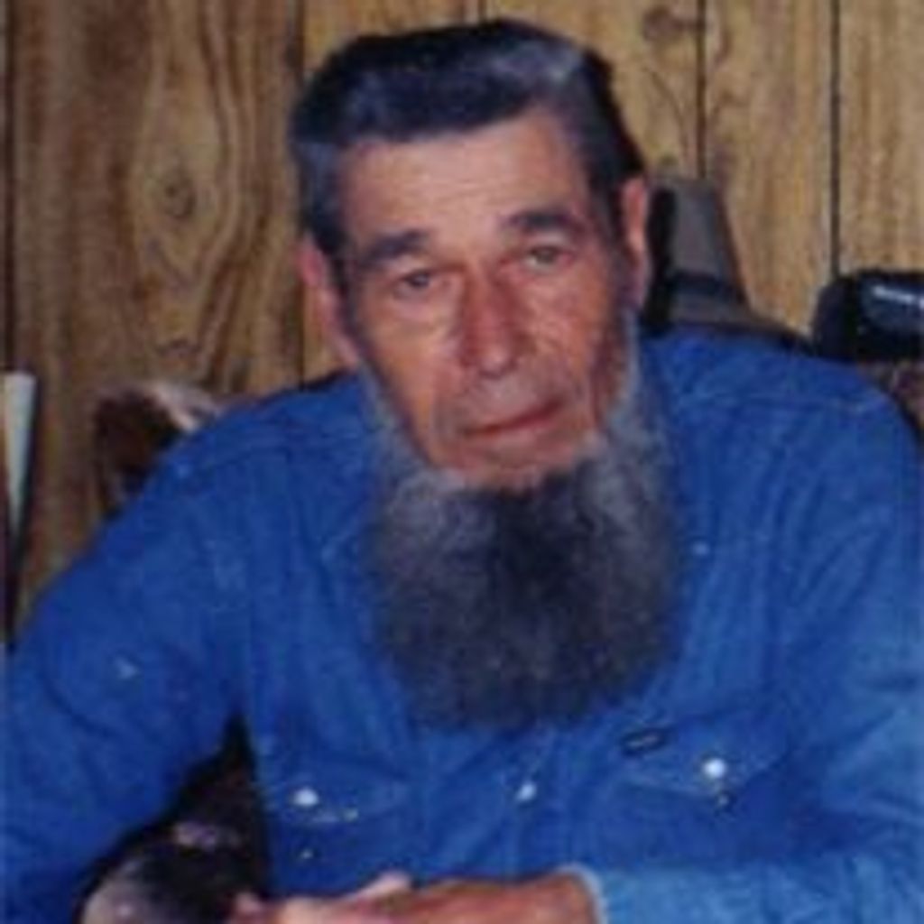 Thomas Cat Wilson