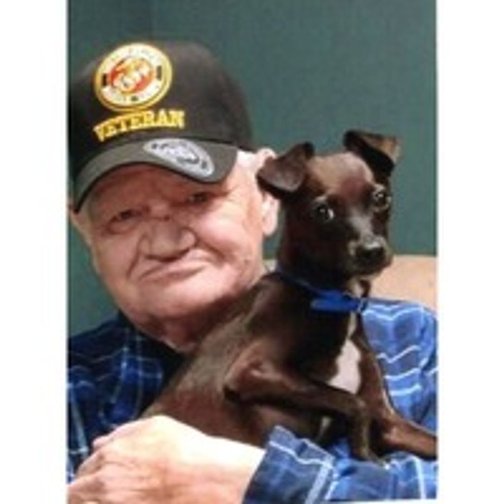David W. Newman Profile Photo