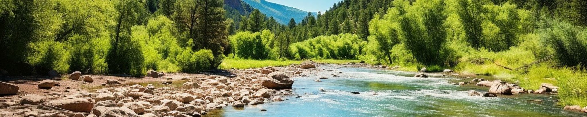 Cover for Sol Rivera's Obituary