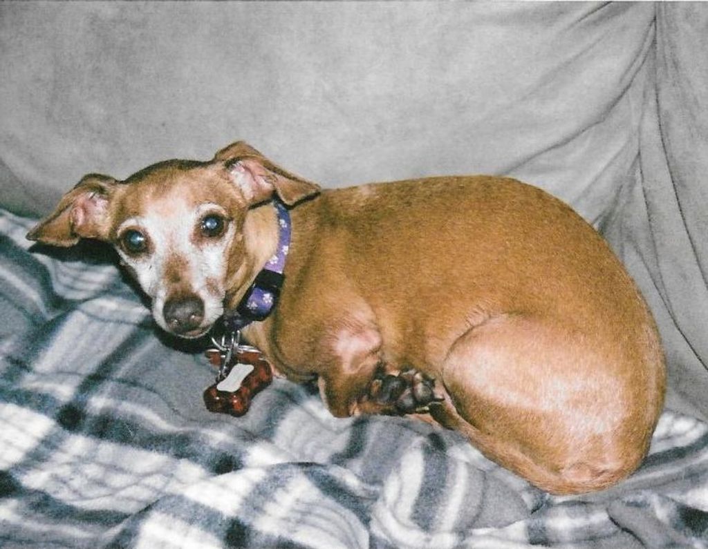 Samantha Lynn Brickey-Bond