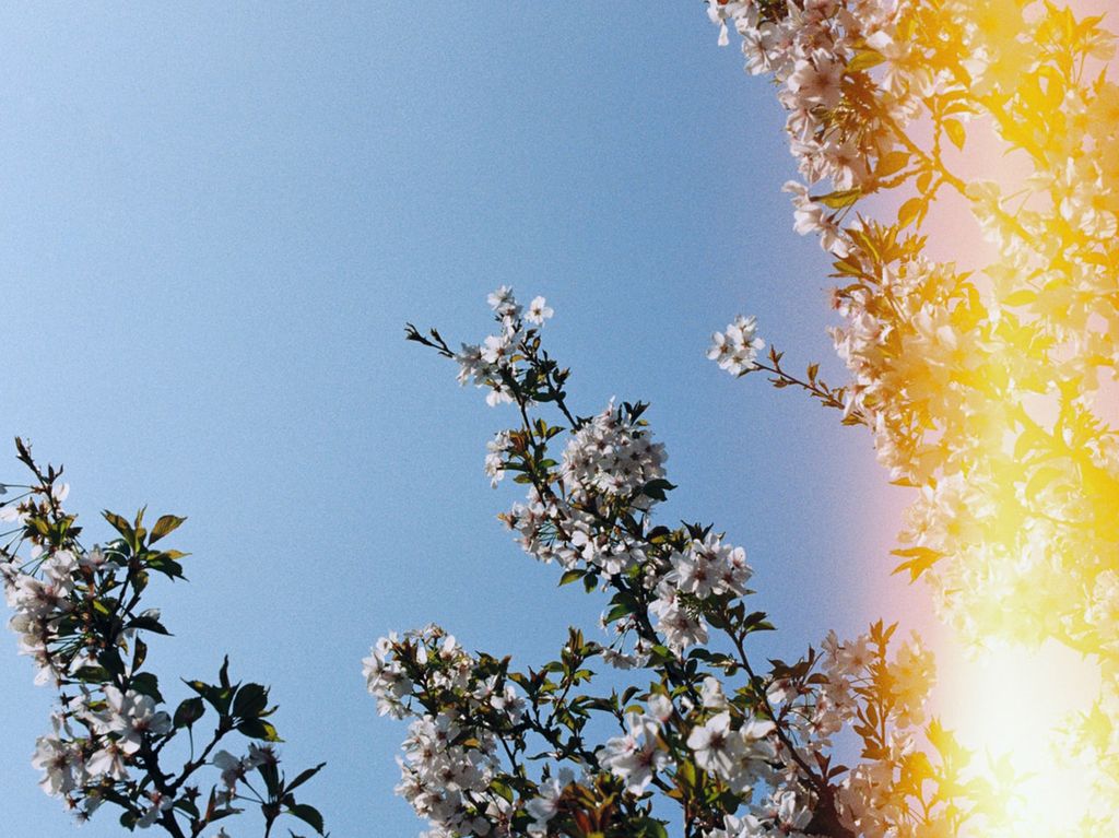 Jerry "Redeye" Atkins Profile Photo